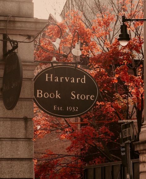 Harvard Uni, Harvard Yard, University Inspiration, Harvard Students, College Vision Board, Author Event, Harvard Law, Harvard Law School, College Aesthetic