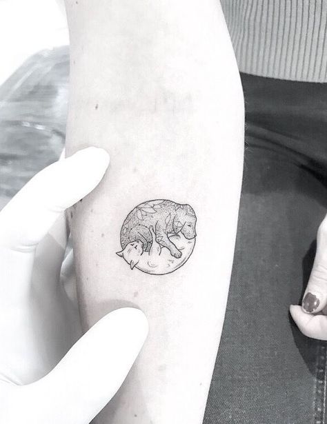 Cat Dog Yin Yang Tattoo, Cat Yin Yang Tattoo, Dog And Cat Tattoos, Yin Yang Cat Tattoo, Yin And Yang Tattoo Ideas, Two Dogs Tattoo, Dog And Cat Tattoo Together, Two Cat Tattoo, Dog And Cat Tattoo