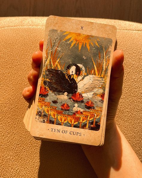 The Solar Kingdom tarot deck is available🏹✨ We’ve got some decks left for wholesale orders (ready to ship right away) — and there is a very limited number still left in our retail store for individual customers. We offer international shipping and magically gift-wrap every order. Visit our website to order & DM us if you’ve got any questions With love, Modern Magic Press team Tarot Deck Aesthetic, Modern Witch Tarot Deck, Deck Aesthetic, Modern Witch Tarot, Witches Tarot Deck, Tarot Collection, Unique Tarot Decks, Witch Tarot, Tarot Tips