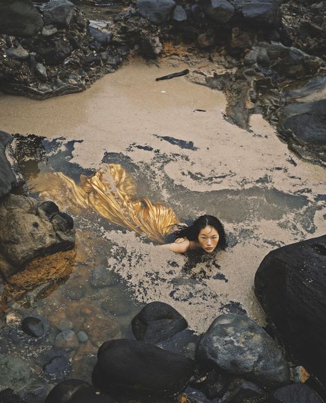 Dreamy, vibrant, and at times unsettling, Zhong Lin’s striking images are inspired by her diverse upbringing - 1854 Photography Peng Chang, No Ordinary Girl, Vogue Taiwan, Mermaid Photography, Water Nymphs, Mermaid Aesthetic, Sea Witch, 판타지 아트, Sirens