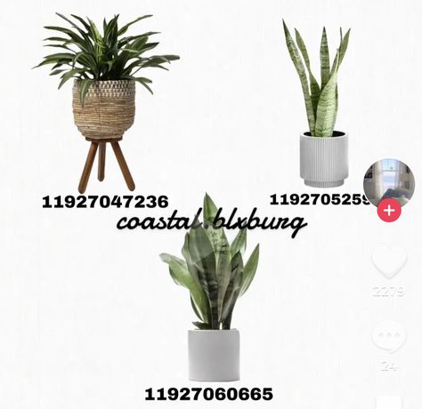 Bloxburg Leaves Codes, Name Decal Codes Bloxburg, Bloxburg Plant Vase Decals Codes, Bloxburg Realistic Picture Codes, Bloxburg Plant Codes Transparent, Bloxburg Grass Colors, Bloxburg Codes For Plants, Marble Wall Decal Bloxburg, Bloxburg Picture Codes Plants