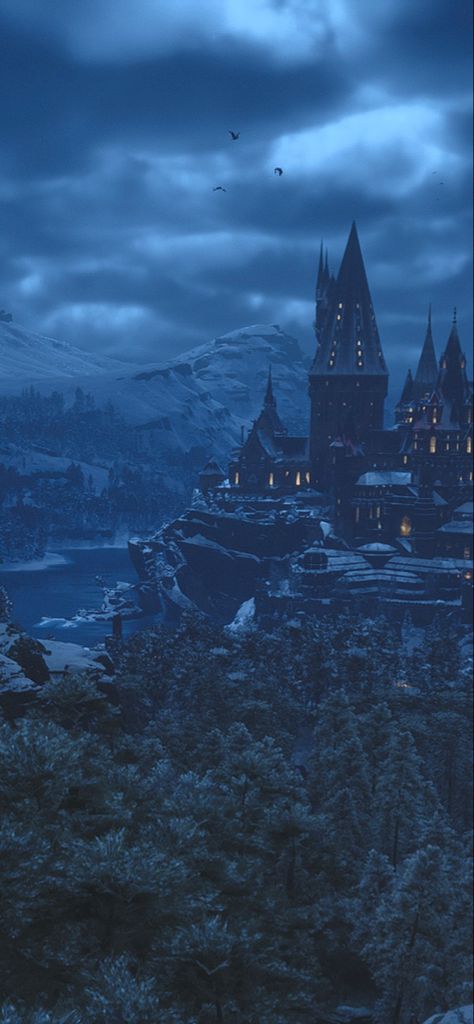 Hogwarts In Winter, Ravenclaw Aesthetic, Harry Potter Background, Hogwarts Aesthetic, Hogwarts Castle, Slytherin Aesthetic, Harry Potter Pictures, Harry Potter Film, Harry Potter Wallpaper