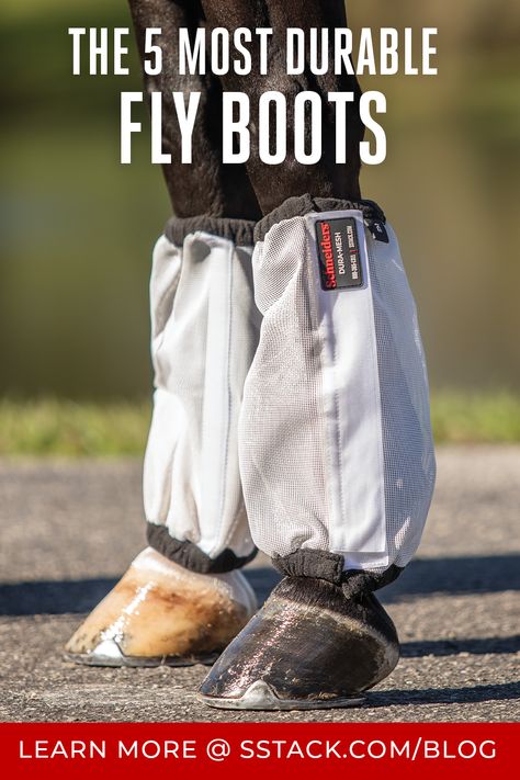 Fly boots serve as a crucial defense against irritating flies and other pests. However, not all fly boots are created equal in terms of durability. In this blog post, we'll explore the top five most durable fly boots. Diy Horse Fly Boots, Horse's Neck, Fly Boots, Saddle Pads English, Horse Mane, Horse Therapy, Saddle Accessories, Horse Dressage, Horse Fly