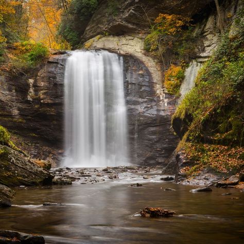 Brevard: North Carolina's Land of Waterfalls Visitors Center | VisitNC.com Waterfalls In North Carolina, Pisgah National Forest North Carolina, Brevard North Carolina, Lake Toxaway Nc North Carolina, North Carolina Waterfalls Map, Adventure Guide, Visitor Center, Main Street, Dog Friends