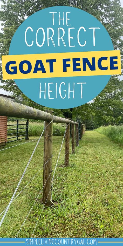 When it comes to keeping your goats fenced in, height really does matter. Know how high to make your fence and how low to keep the bottom strand on high-tensile fencing. This will help you to create a more secure setup. One that keeps your goats in and predators out. High Tensile Fence, Goat Fence, Livestock Fence, Keeping Goats, Pasture Fencing, Goat Pen, Goat Shelter, Small Goat, Female Goat