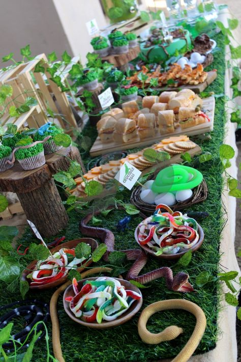 Critter Birthday Party, Rainforest Theme Party Food, Rainforest Party Theme, Croods Birthday Party, Reptile Theme Party, Jumanji Party Ideas, Salamander Birthday Party, Rainforest Birthday Party Ideas, Rainforest Party Food