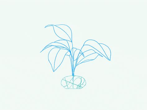 Plant Animation Gif, Plant Growing Animation, Follow Through Animation, Plant Animation, Flower Animation, Nature Animation, Life Animation, Rough Animation, Drawings Of Plants