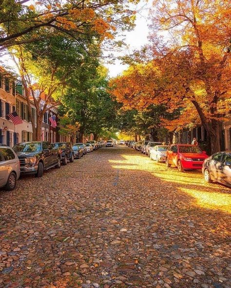 Virginia Usa Aesthetic, Alexandria Virginia Old Town, Washington Dc In Fall, Fall In Washington Dc, Fall In Dc, Dc In The Fall, Dc Lifestyle, 2024 Manifesting, Rm Aesthetic