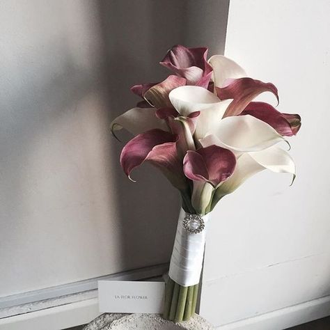 Calla Lily Bridal Bouquet, Lily Bridal Bouquet, Flower Arrangements Wedding, Simple Wedding Bouquets, Calla Lily Bridal, Calla Lily Wedding, Small Flower Arrangements, Calla Lily Bouquet, Bridal Bouquet Fall