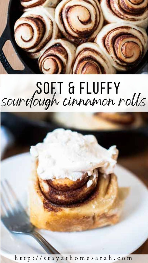 Is there anything more cozy and delicious than super soft and perfectly spiced sourdough cinnamon rolls? The sweet cinnamon and sugar swirled in the soft sourdough bread dough and topped with cream cheese frosting can’t be beat. Sour Dough Cinnamon Roll, Red Velvet Sourdough Cinnamon Rolls, Sourdough Cinnamon Rolls Farmhouse, Soft Sourdough Cinnamon Rolls, Fluffy Sourdough Cinnamon Rolls, Sourdough Pumpkin Cinnamon Rolls, Cinnamon Sugar Sourdough Bread, Sourdough Cinnamon Rolls Overnight, Easy Sourdough Cinnamon Rolls