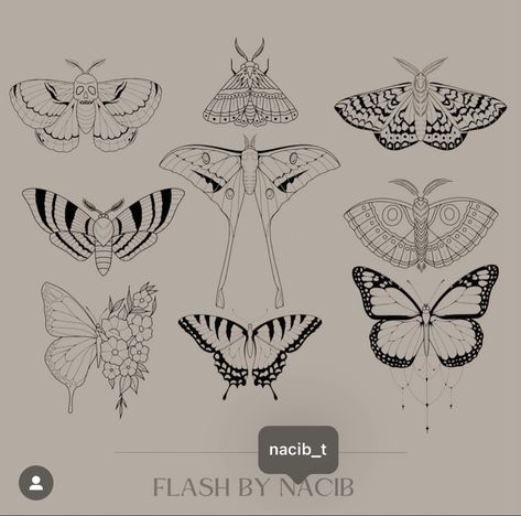 Giant Moth Tattoo, Patchwork Moth Tattoo, Moth Tattoos Simple, Flying Moth Tattoo, Lunar Moth Tattoo Design Simple, Moth Outline Tattoo, Fine Line Moth Tattoo, Moth Tattoo Outline, Deathhead Moth Tattoo