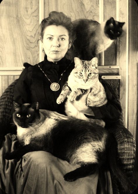 Victorian Cat, Great Granddaughter, Cat Lady, Dog Breeds, The House, Dogs