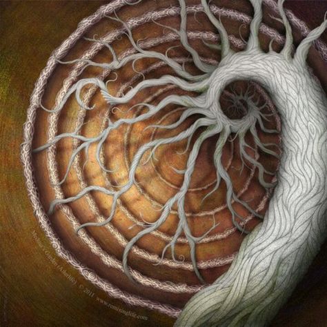 Tree of life Spiral Art, Conceptual Art, Tree Art, Fractal Art, New Media, Labyrinth, Sacred Geometry, Gourds, Alchemy