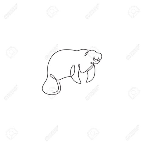 Mini Manatee Tattoo, Manatee Line Tattoo, Manatee Line Drawing, Fine Line Manatee Tattoo, Manatee Tattoo Outline, Manatee Doodle, Manatee Tattoo Ideas, Simple Manatee Tattoo, Manatee Drawing