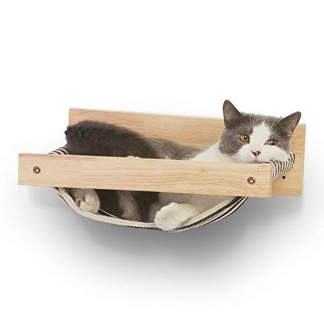 Cat Climbing Shelves, Katt Grejer, Kat Diy, Cat Window Perch, Cat Wall Shelves, Cat Wall Furniture, Pet Hammock, Wall Furniture, Cat Playground