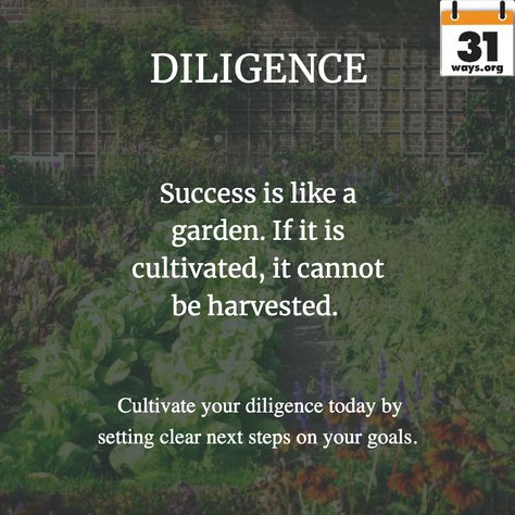 Quotes About Diligence, Diligence Quotes, Heavenly Virtues, Healing Spirituality, Way To Heaven, Energy Healing Spirituality, Jesus Wallpaper, 2023 Vision, Daily Challenges