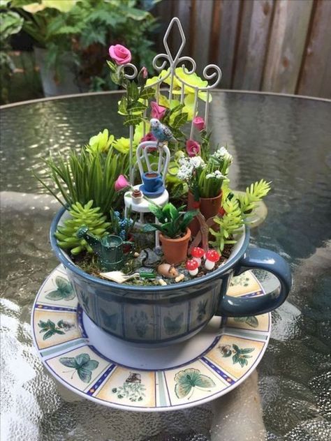 Indoor Fairy Garden Ideas, Gardening Room, Fairy Teacup, Fairy Garden Design Ideas, Indoor Fairy Garden, Gardening Party, Kitchen Gardening, Indoor Fairy Gardens, Fairy Garden Ideas