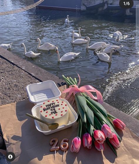 Cake Photoshoot, Pink Obsession, Desert Aesthetic, Bento Cake, 23rd Birthday, 19th Birthday, Flower Landscape, Simple Photo, 25th Birthday