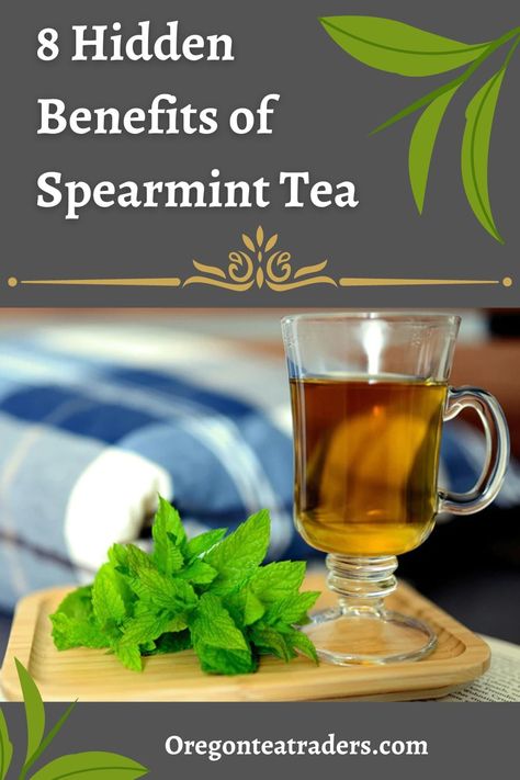 Refreshingly cool and perfectly sweet, spearmint is a wildly popular flavor for chewing gum, toothpaste, mouthwash, and tea. But the benefits of spearmint extend far beyond just tasting delicious. Spearmint Recipes, Benefits Of Spearmint, Spearmint Tea Benefits, Medicinal Herbs Remedies, Growing Tea, Spearmint Tea, Natural Pain Relievers, Medicinal Tea, Tea Benefits