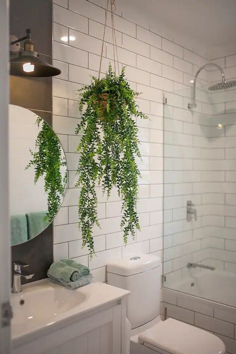 Bathroom Plant Pots Ideas Trendy bathroom plants decor ideas || bathroom decoration with plants Tropical Themed Bathroom, Houseplant Aesthetic, Indoor Plants Bathroom, Tropical Bathroom Decor, Decoration With Plants, Bathroom Plant, Bathroom Plants Decor, Best Bathroom Plants, Bathroom Family