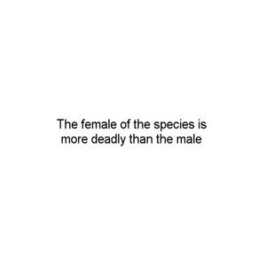 Got Arya Stark, The Female Of The Species, Deadly Females, Harsh Truth, Ash Sneakers, Female Of The Species, Art Notebook, Quote Unquote, Funny Farm