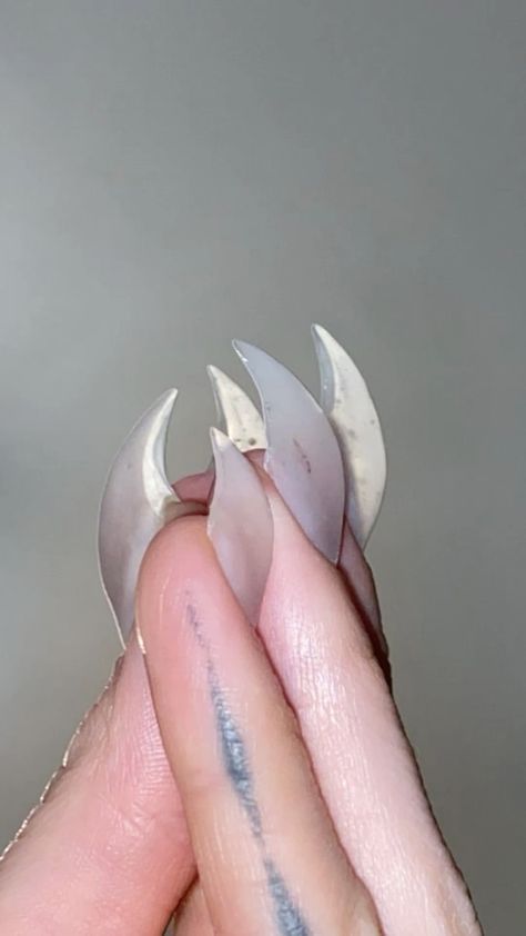 Cool Body Modifications, Cat Claws Nails, Cat Claw Acrylic Nails, Gay Nails Design, Claws Aesthetic, Werewolf Nails, Gay Nails, Claw Nails Designs, Cat Claw Nails