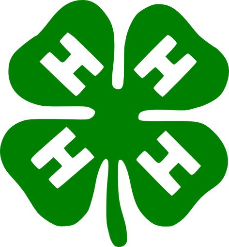 free vector Shamrock clip art graphic available for free download at 4vector.com. Check out our collection of more than 180k free vector graphics for your designs. #design #freebies #vector Shamrock Clip Art, 4h Clover, 4 H Clover, Clover Logo, Clover Svg, Body Necklace, Duck House, Laser Cut Wood Crafts, Vintage Junk