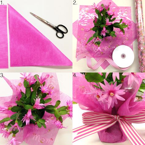 Tissue-Wrapped Flowers for Mother's Day Flower Pot Wrapping Ideas, How To Wrap A Potted Plant As A Gift, How To Wrap A Plant As A Gift, Wrapped Flowers, Wrap Flowers, How To Wrap, Flower Gift Ideas, Plant Gift, Mom Design