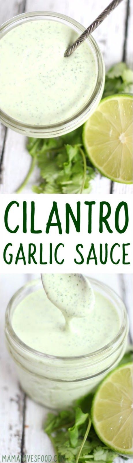 OMG i want to put this on everything!!!  Cilantro Garlic Sauce - Easy Pollo Tropical Inspired Recipe Recipe Fish Tacos, Sauce For Fish, Pollo Tropical, Cilantro Garlic Sauce, Seafood Sauce, Cilantro Sauce, Marinade Sauce, Makanan Diet, Think Food