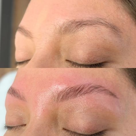 Brow Lamination Before and After  Dérmica MedEsthetics Brow Lamination Before And After, Hair Growth Rate, Chin Implant, Sparse Eyebrows, Cheek Fillers, Daily Beauty Routine, Unruly Hair, Diastasis Recti, Brow Definer