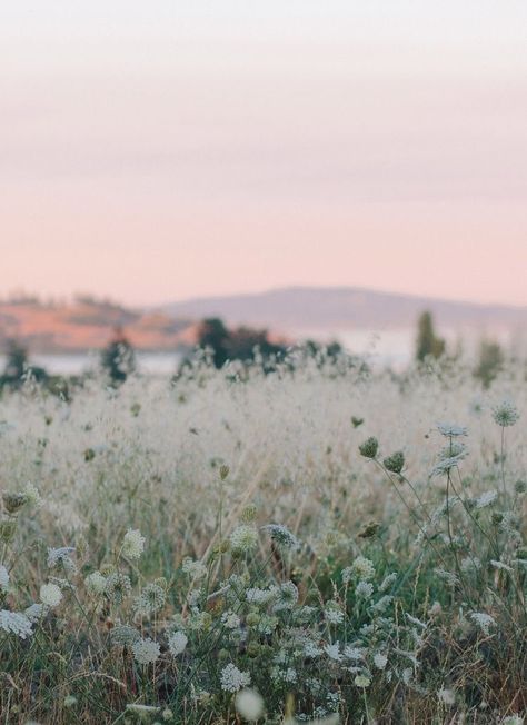 Have Inspiration, Photography Subjects, Trik Fotografi, Alam Yang Indah, Nature Aesthetic, Lake Tahoe, Nature Pictures, Pacific Northwest, Pretty Pictures