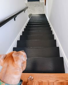 Black Painted Stairs, Black And White Stairs, Black Staircase, Painted Staircases, Black Stairs, White Stairs, Stair Makeover, Yellow Brick Home, Stairs Makeover