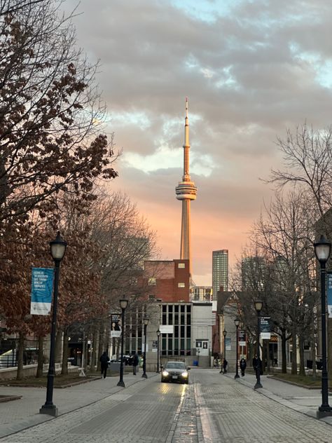 York University Toronto Aesthetic, Uoft Aesthetic, Uoft Toronto Aesthetic, Uoft Toronto, Toronto Living, Canada Toronto City, Aesthetic Memories, Toronto Aesthetic, Canada Aesthetic