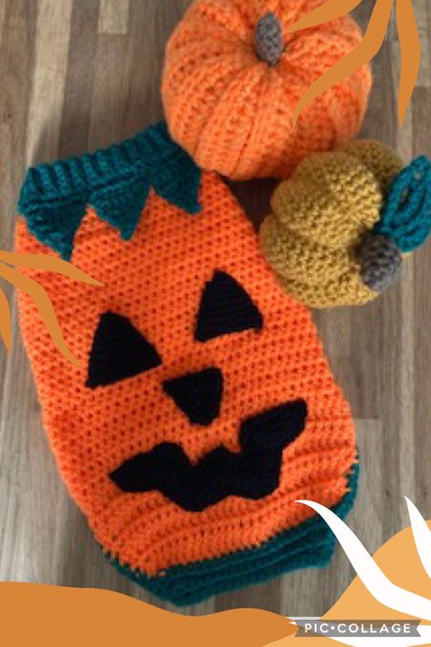 Crochet Halloween Costume, Crochet Dog Hat, Crochet Dog Clothes, Crochet Bat, Crochet Dog Patterns, Crochet Dog Sweater, Crochet Mushroom, Pumpkin Costume, Dog Jumpers