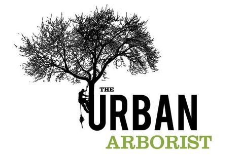 Arborist Logo, Arborist Climbing Trees, Arborist Climbing, Tree Arborist, Monkey Man, Tree Logo Design, Tree Surgeons, Tree Climbing, Owl Hat