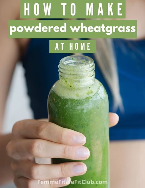 Learn the easy way to make homemade powdered wheat grass as well as the health benefits. Drink it in your juices, water or smoothies for a nutritional boost. #wheatgrass #vegan #healthfood #smoothies #greensmoothies Wheat Grass Recipes, Wheat Grass Benefits, Wheat Grass Powder, Wheatgrass Benefits, Wheatgrass Smoothie, Barley Powder, Homemade Protein Powder, Wheat Grass Shots, Wheatgrass Powder