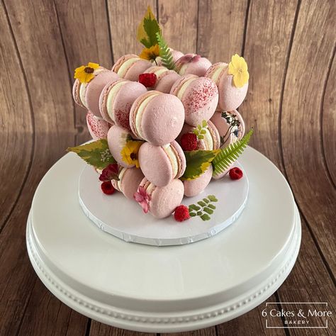 Elevate your dessert experience with one of our amazing Macaron Cube Cakes! This is our Raspberry Macaron Cube decorated with all edible florals and freeze dried raspberries. #6cakesandmore #baker #bakery #dessert #alabamabaker #dothanalabama #enterprisealabama #macarons #macaroncubecake #edibleflowers #pressedflowers #raspberry Macaron Cube Cake, Cube Cake, Freeze Dried Raspberries, 6 Cake, Dried Raspberries, Freeze Dried, Freeze Drying, Edible Flowers, Cakes And More