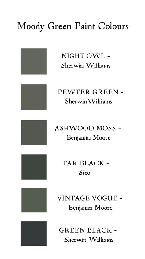 Essex Green Paint Benjamin Moore, Dark Grey With Green Undertones, Moody Paint Colors 2023, Green Moody Paint Colors, Sw Jasper Bedroom, Perfect Dark Green Paint Color, Moody Grey Green Paint, Dark Muted Green Paint, Moody Green House Exterior