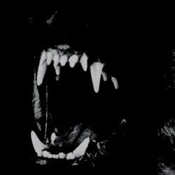 Sharp Teeth, White Photo, In The Dark, A Black, Black And White, White, Black