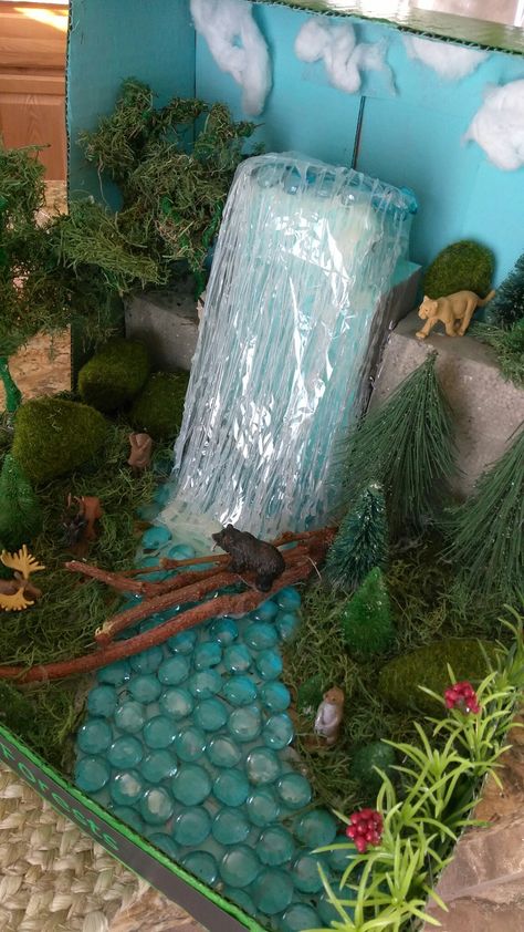 Woodland Forest Diorama, Otter Diorama, Forest Ecosystem Project, Grassland Project, Rain Forest Diorama, Ecosystems Diorama, Rainforest Diorama, Beach Diorama, Shoe Box Diorama