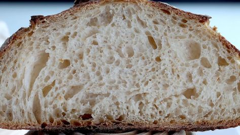 Low Carb Artisan Bread Recipes, Keto Sourdough Starter Recipe, Keto Sourdough Bread Starter, Almond Flour Sourdough Bread, Keto Sourdough Recipes, Keto Artisan Bread, Keto Sourdough Starter, Low Carb Sourdough Bread, Keto Sourdough Bread Recipe