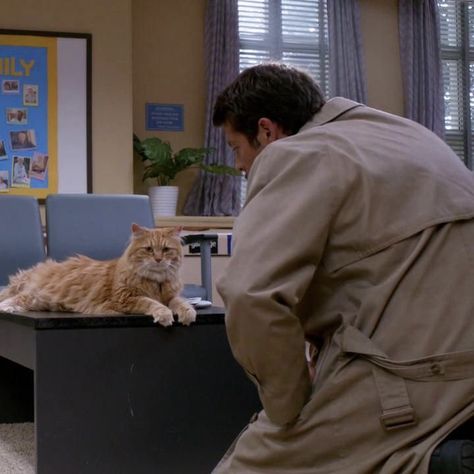 Castiel Funny, Weird Cartoon, Spn Castiel, Castiel Aesthetic, Talking Cat, Castiel Supernatural, Talking Animals, Supernatural Wallpaper, Supernatural Pictures