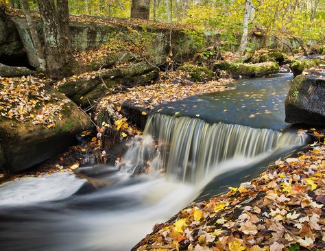 Fallen leaves drifting down a stream in Rhode Island. | 50 Photos That Prove Autumn Is The Prettiest Season In Every State Rhode Island Fall, Rhode Island Travel, Natural Waterfalls, Scenic Road Trip, Scenic Roads, Hiking Spots, Fall Hiking, Fall Foliage, Rhode Island