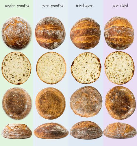 Types Of Breads, Homemade Sourdough Bread, Bread Starter, Artisan Bread Recipes, Sourdough Starter Recipe, Sourdough Baking, Sourdough Bread Recipe, Sourdough Recipes, Bread And Pastries