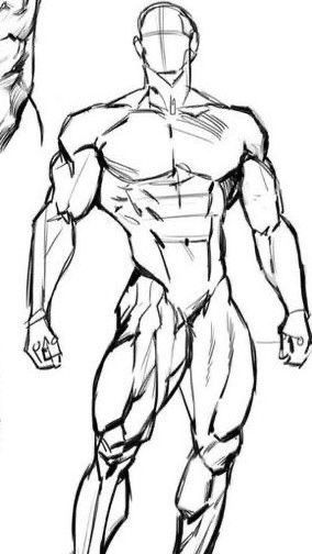 Muscle Drawing Reference, Muscle Drawing, Anatomy Guide, Detailed Anatomy, Artistic Anatomy, Male Art Reference, American Traditional Tattoo Ideas, Traditional Tattoo Ideas, Human Body Drawing