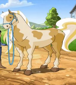 Horseland Horses, Yellow Highlights, Kitty Pryde, Single Braid, American Paint, Mane N Tail, Hazel Eyes, Pluto The Dog, Scooby Doo