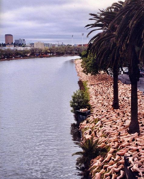 Spencer Tunick, Flowers Images, Beautiful Flowers Images, Fact Of The Day, British Artist, Flower Images, Banksy, Beautiful Flowers, Melbourne