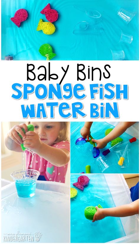 Fish Sensory Bin, Ocean Activities Preschool, Toddler Skills, Early Preschool, Ocean Animal Crafts, Toddler Sensory Bins, Daycare Themes, Sensory Items, Sea Activities