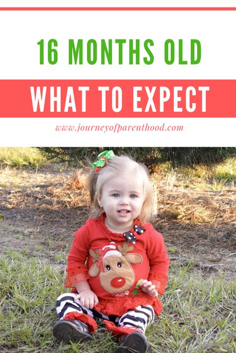 What to expect with your toddler at 16 months old. Milestones, development and comparisons. #toddler #whattoexpect 16 Month Milestones, 16 Month Old Development, Life With A Newborn, Teaching Manners, Development Milestones, Baby Schedule, Newborn Baby Tips, Breastfeeding And Pumping, Baby Activities