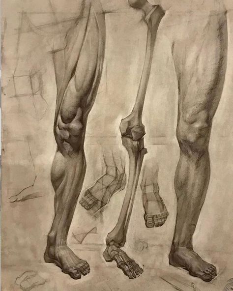 Student work by Lou Li Skeleton Anatomy Drawing, How To Draw Legs, Leg Drawings, Anatomy Drawing Reference, Toned Paper Drawing, Drawing Inspiration People, Sitting Painting, Legs Reference, Leg Drawing